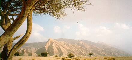 Alain Tour Excursion from Dubai